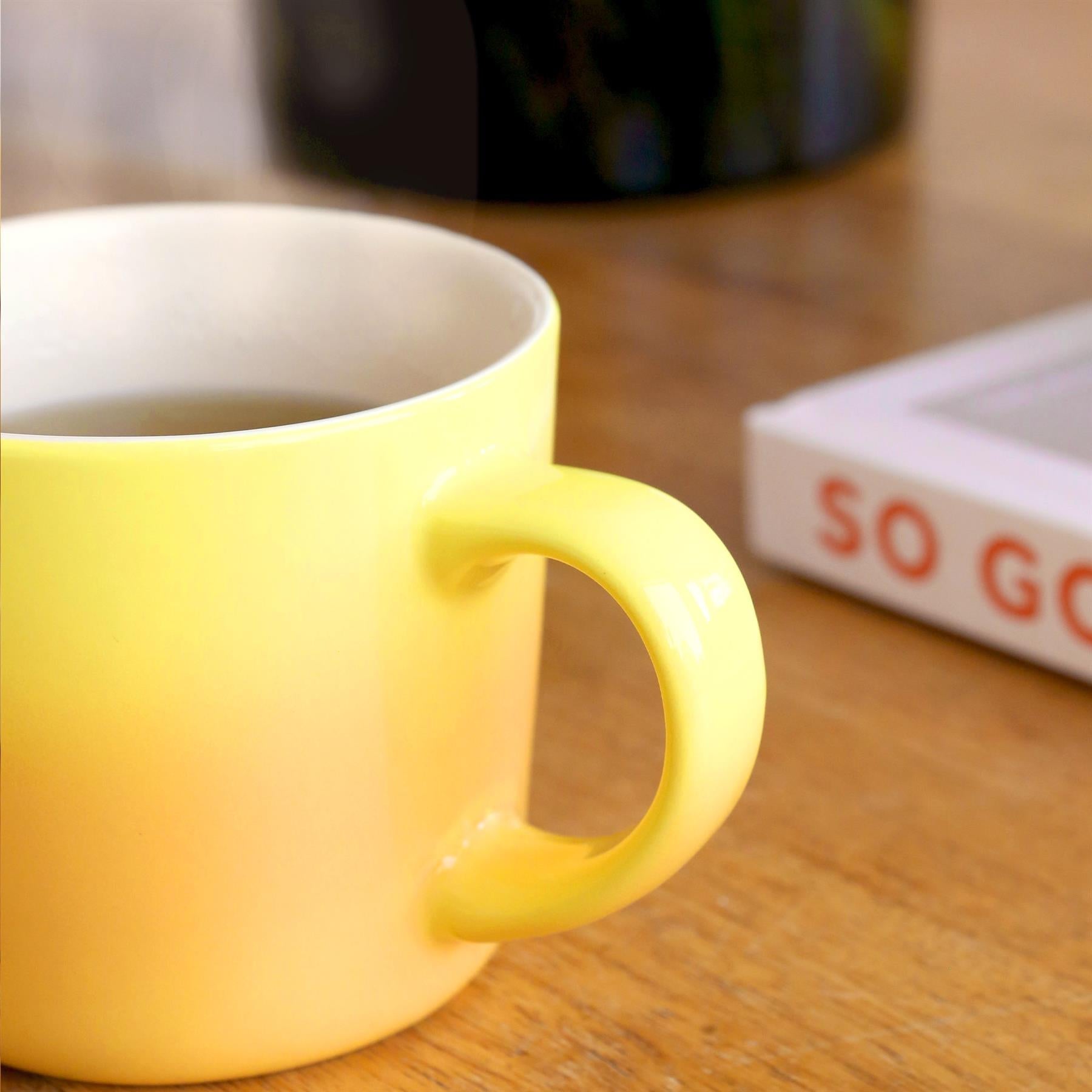 330ml New Bone China Ombre Mug