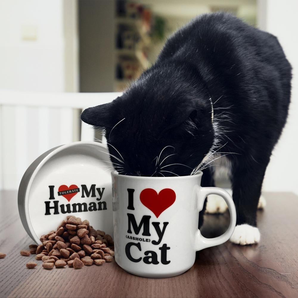 CERAMIC MUG + CAT BOWL SET