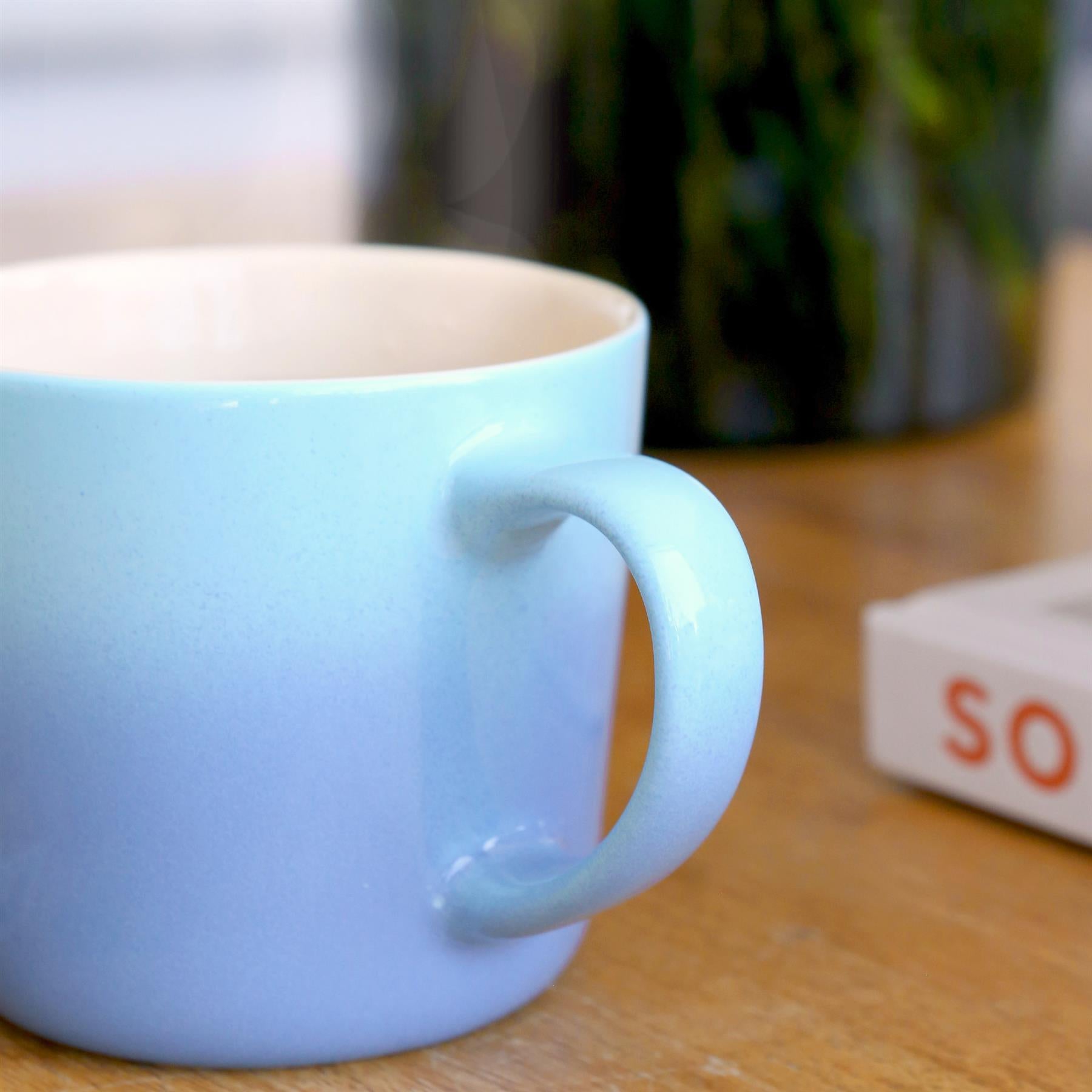 330ml New Bone China Ombre Mug