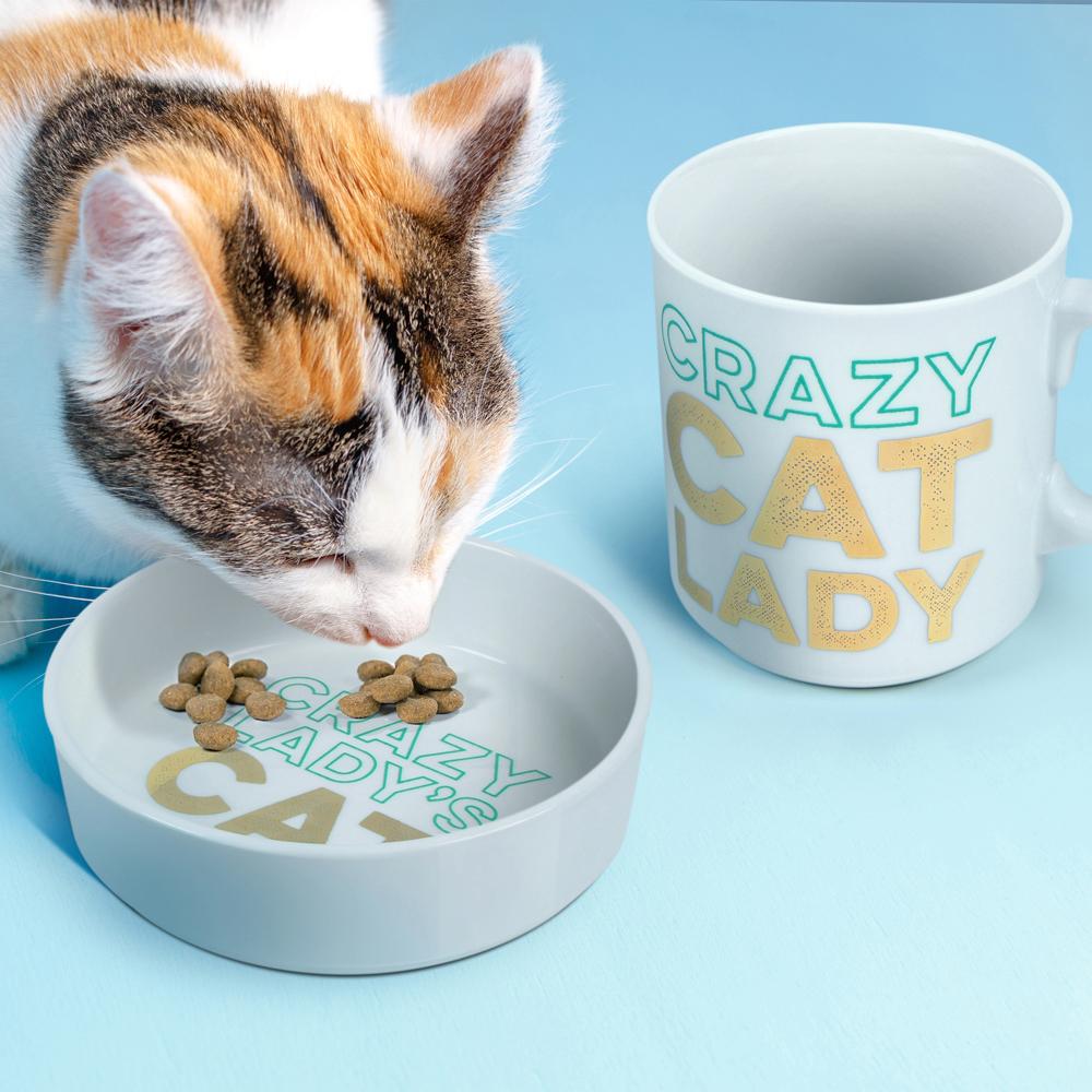 CERAMIC MUG + CAT BOWL SET